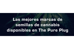 Semillas De Cannabis