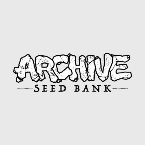 Light Speed, semillas feminizadas de Archive Seedbank