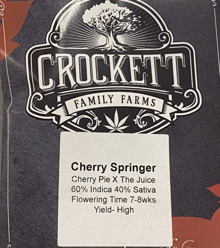 Cherry Springer, semillas regulares de Crockett Family Farms