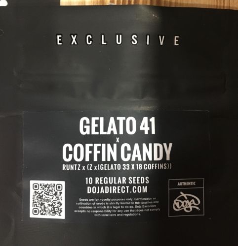 GELATO 41 X COFFIN CANDY, Semillas Regulares de Doja