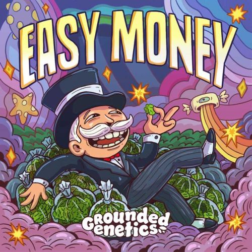 Easy Money, semillas feminizadas de Grounded Genetics