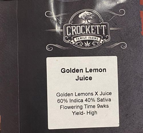 Golden Lemon Juice, semillas regulares de Crockett Family Farms