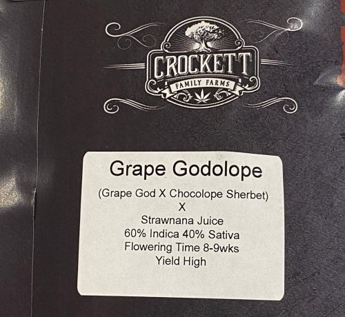 Grape Godolope, semillas regulares de Crockett Family Farms