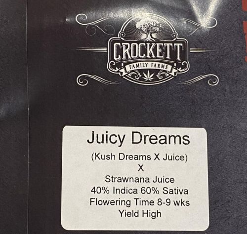 Juicy Dreams, semillas regulares de Crockett Family Farms