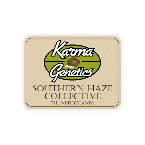 A5Haze S1, semillas feminizadas de Karma Genetics Southern Haze Collective