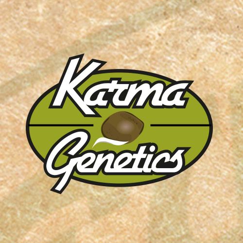 Mochiesel, semillas regulares de Karma Genetics