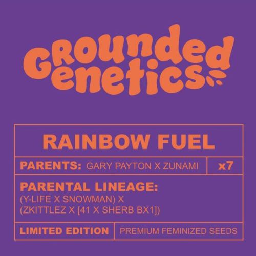 Rainbow Fuel, semillas feminizadas de Grounded Genetics - Edición limitada