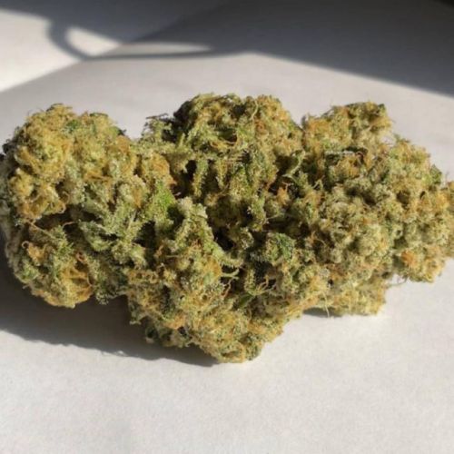 Sherbert Pebbles, semillas feminizadas de Dank Genetics