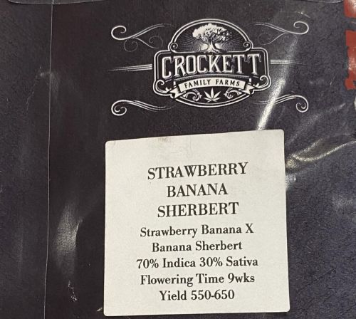 Strawberry Banana Sherbert, semillas regulares de Crockett Family Farms