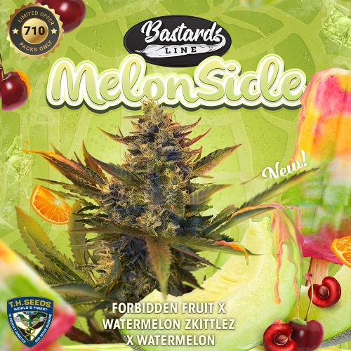 MelonSicle, semillas feminizadas de T.H.Seeds (Bastards Line)