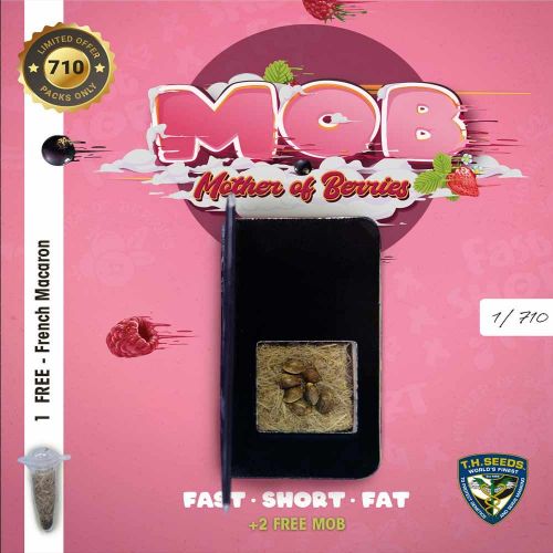 M.O.B, semillas feminizadas de T.H.Seeds