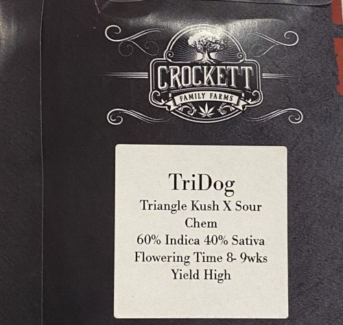 Tridog, semillas regulares de Crockett Family Farms