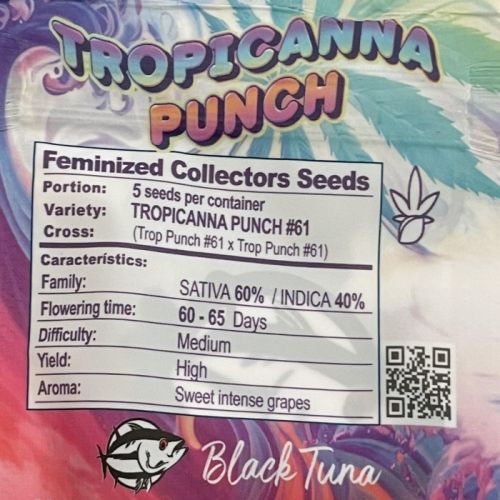 Tropicanna Punch #61, semillas feminizadas de Black Tuna