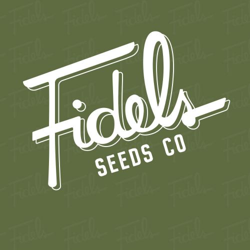 Peaches N' Kush, semillas regulares de Fidel's Seed Co