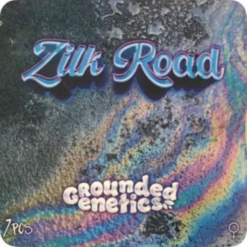  Zilk Road, semillas feminizadas de Grounded Genetics