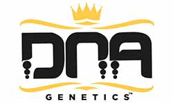 DNA Genetics