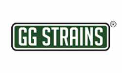 GG Strains