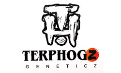 TerpHogz Geneticz