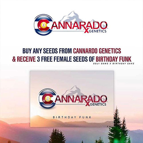 Cannarado Genetics