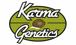 Karma Genetics